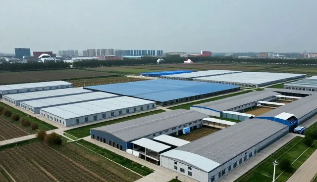 应用开发中常见的问题与解决策略